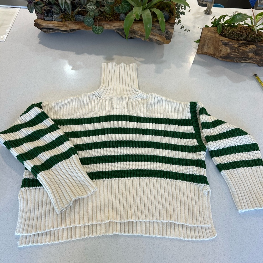 Madewell cropped green stripe turtleneck sweater